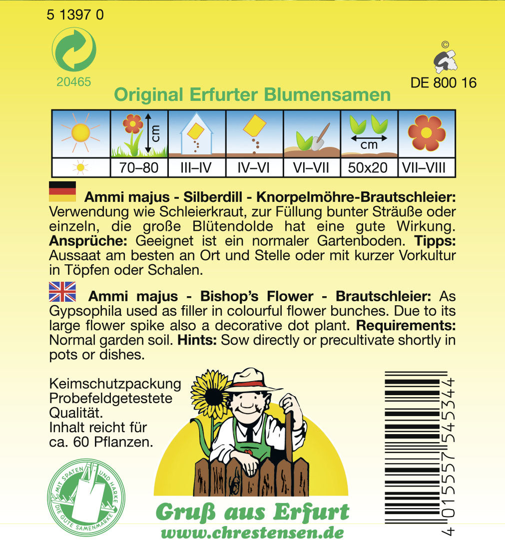  Silberdill Brautschleier Knorpelmöhre