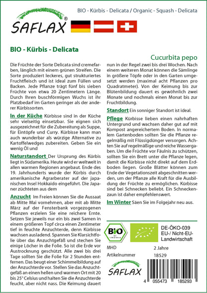  BIO Kürbis Delicata