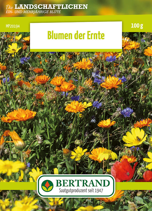  Blumenwiese Ackerwildkräutern (100 G)