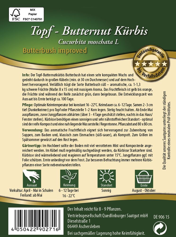  Topf-Butternut Kürbis Butterbush Improved F1