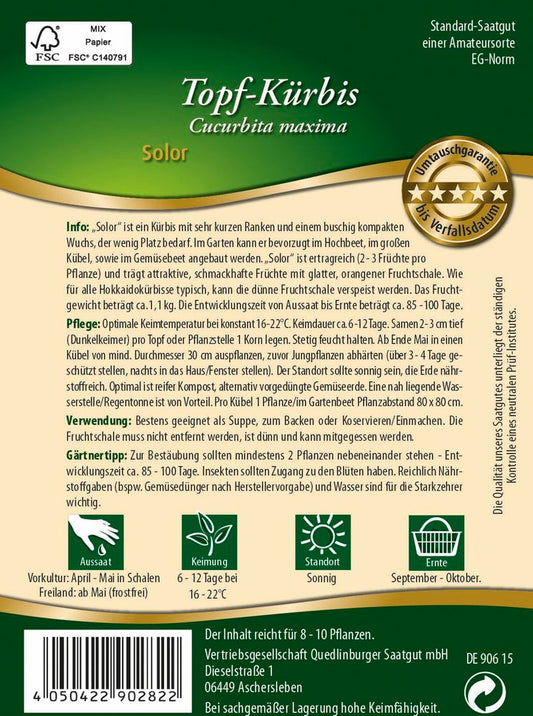  Topf-Kürbis Solor