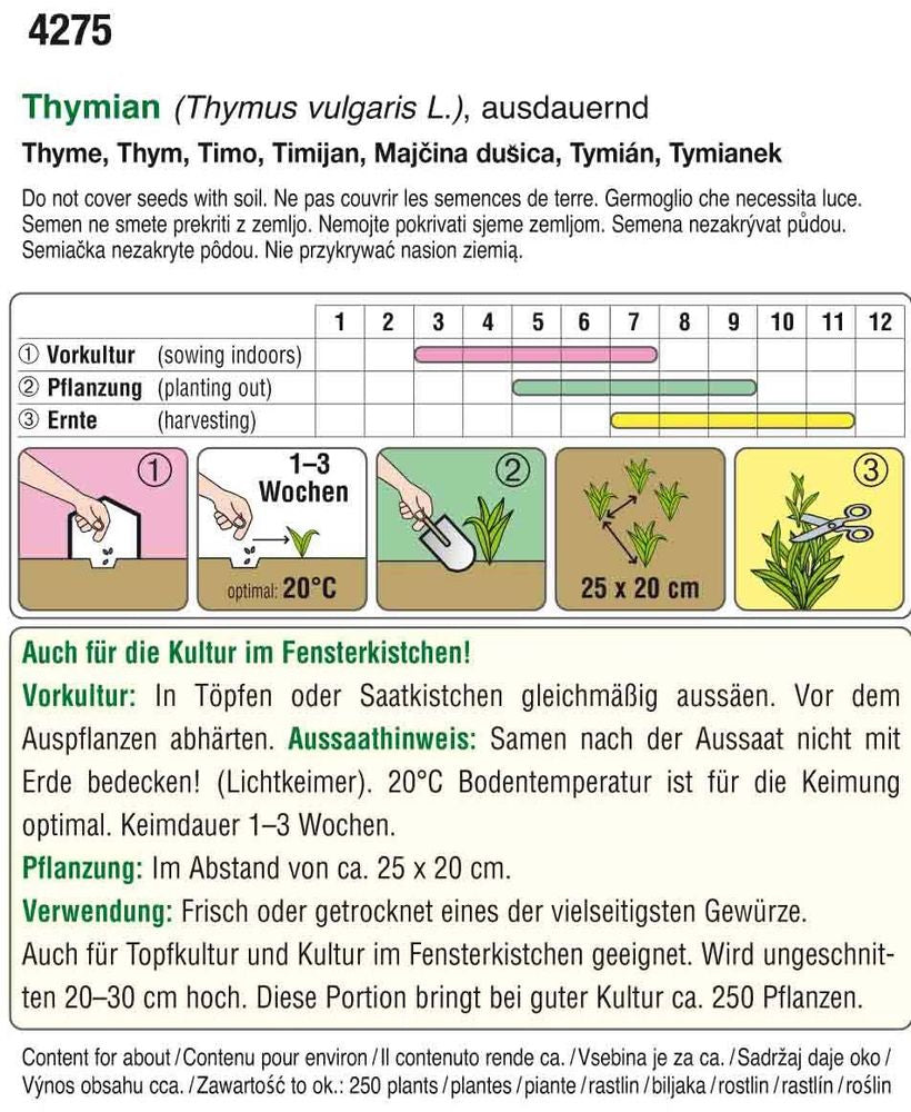  Thymian