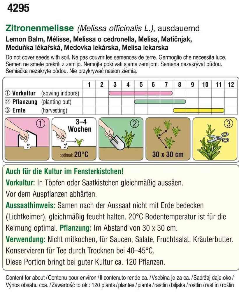  Zitronenmelisse