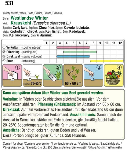  Krauskohl Westlandse Winter