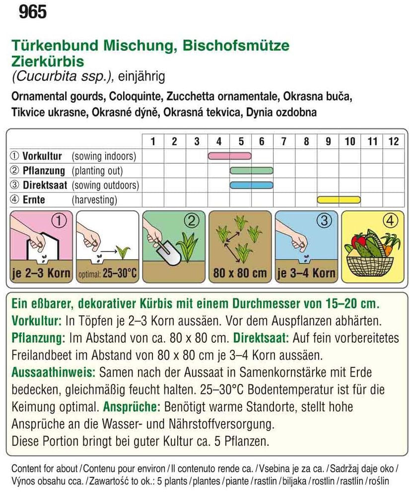  Zierkürbis Türkenbund Mischung
