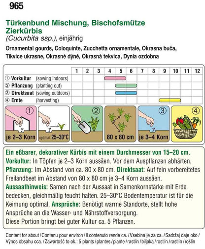  Zierkürbis Türkenbund Mischung