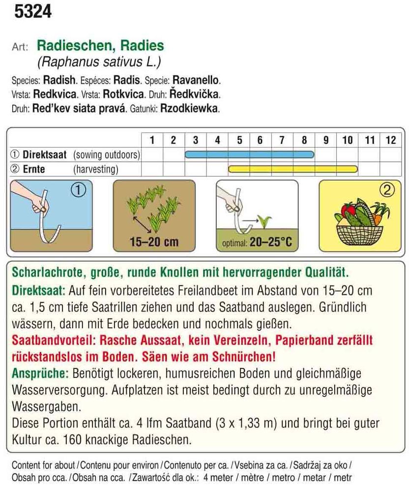  BIO Radieschen Wiener Rotes Treib (Saatband)