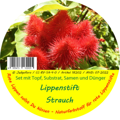  Garden To Go Lippenstiftstrauch