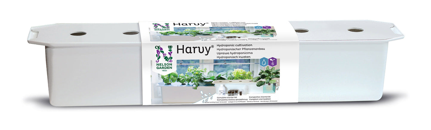  Hydroponik-Pflanzbehälter Harvy 6 Starterpacket