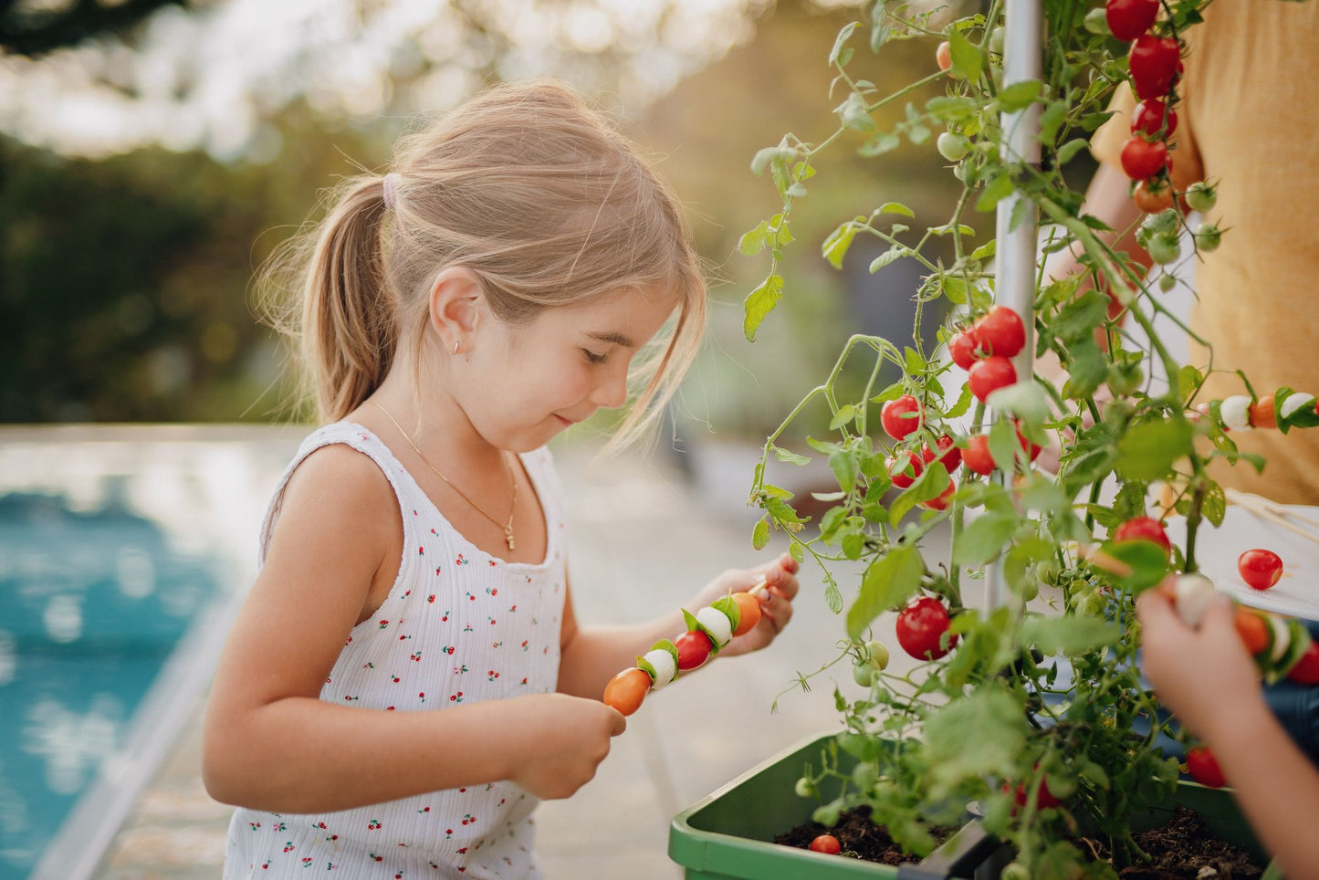  TOM TOMATO Tomatentopf Dunkelgrün