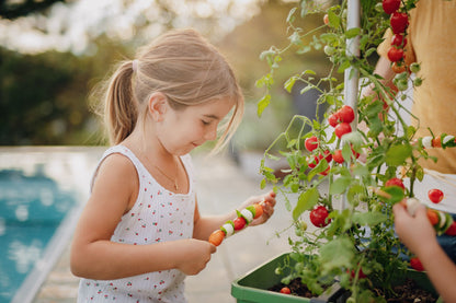  TOM TOMATO Tomatentopf Dunkelgrün
