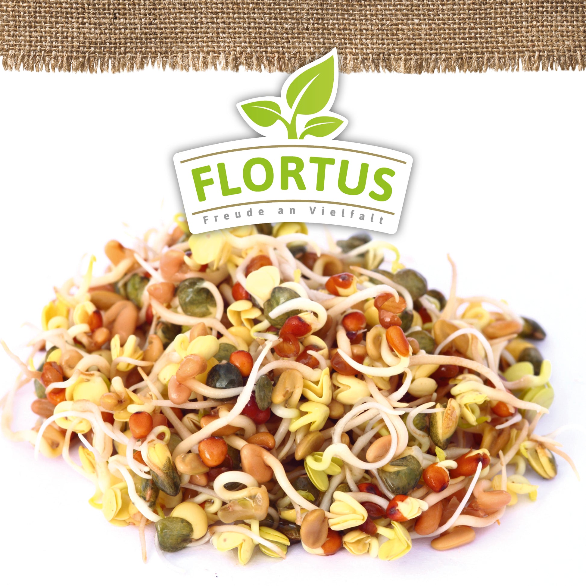  BIO Keimsprossen Fitness-Mischung (Weizen, Mungbohnen Und Rettich)