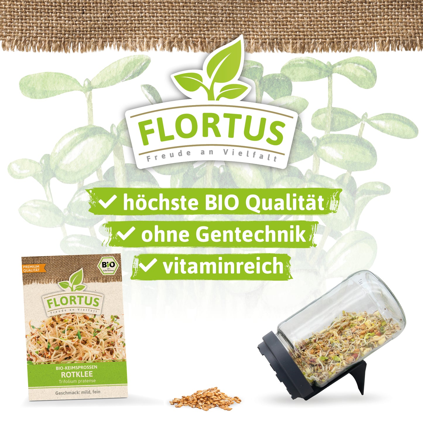  BIO Keimsprossen Rotklee