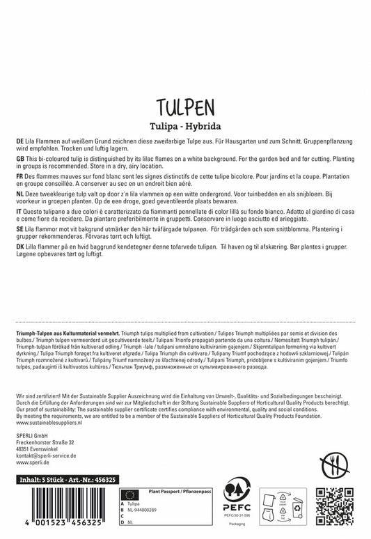  Tulpe Flaming Flag (5 Stück)