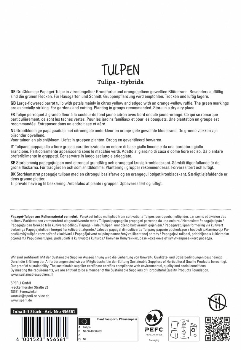  Papagei-Tulpe Parrot King (5 Stück)