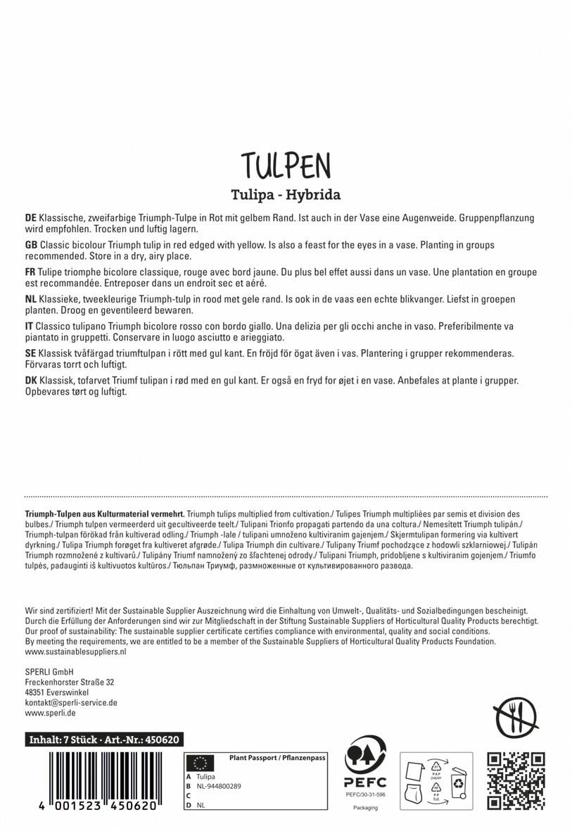  Tulpe Kees Nelis (7 Stück)