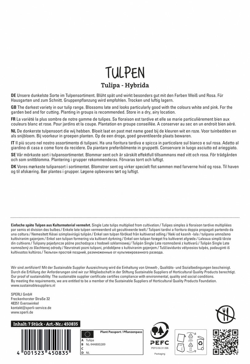  Tulpe Königin Der Nacht (7 Stück)