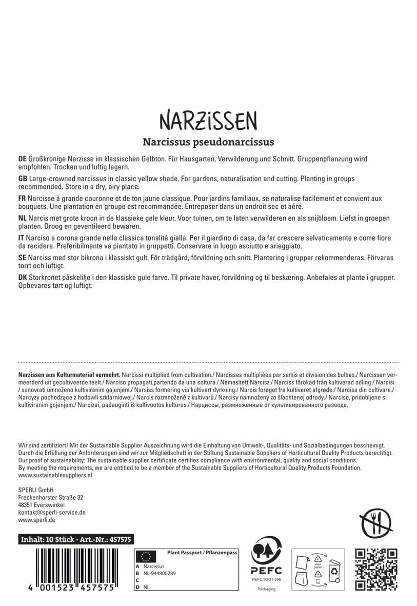  Großkronige Narzisse Carlton (10 Stück)