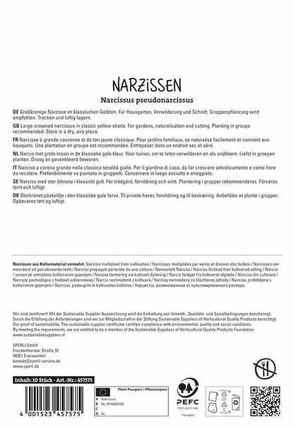  Großkronige Narzisse Carlton (10 Stück)