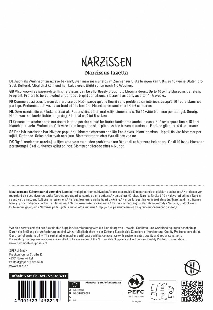  Narzisse Ziva (5 Stück)