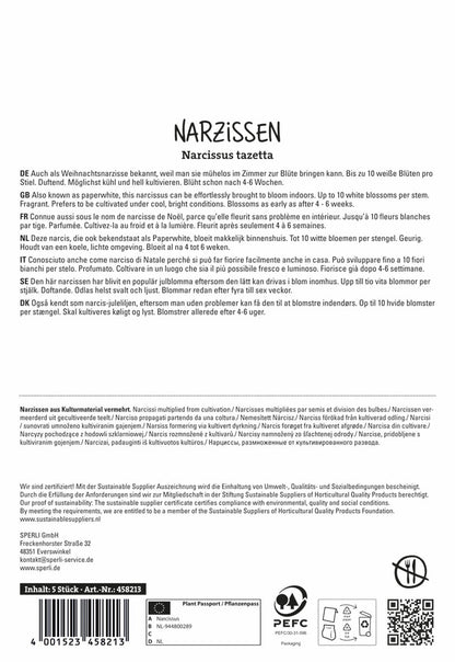  Narzisse Ziva (5 Stück)
