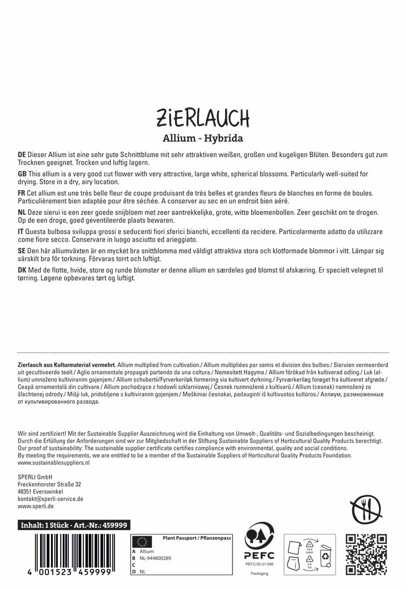  Zierlauch Mont Blanc (1 Stück)