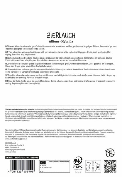  Zierlauch Mont Blanc (1 Stück)