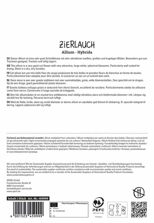  Zierlauch Mont Blanc (1 Stück)