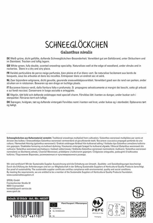  Schneeglöckchen Flore Pleno (10 Stück)