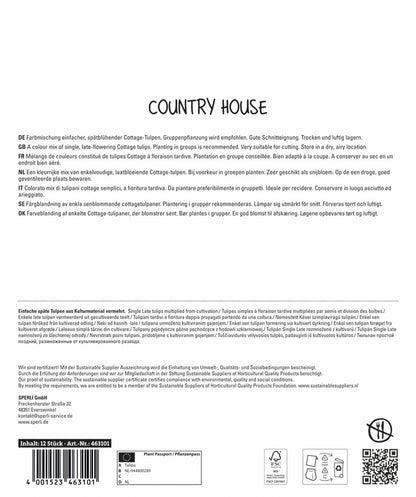  Tulpe Landhaus Mix (12 Stück)