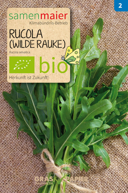  BIO Rucola (mehrjährig)