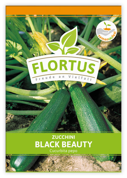  Zucchini Black Beauty