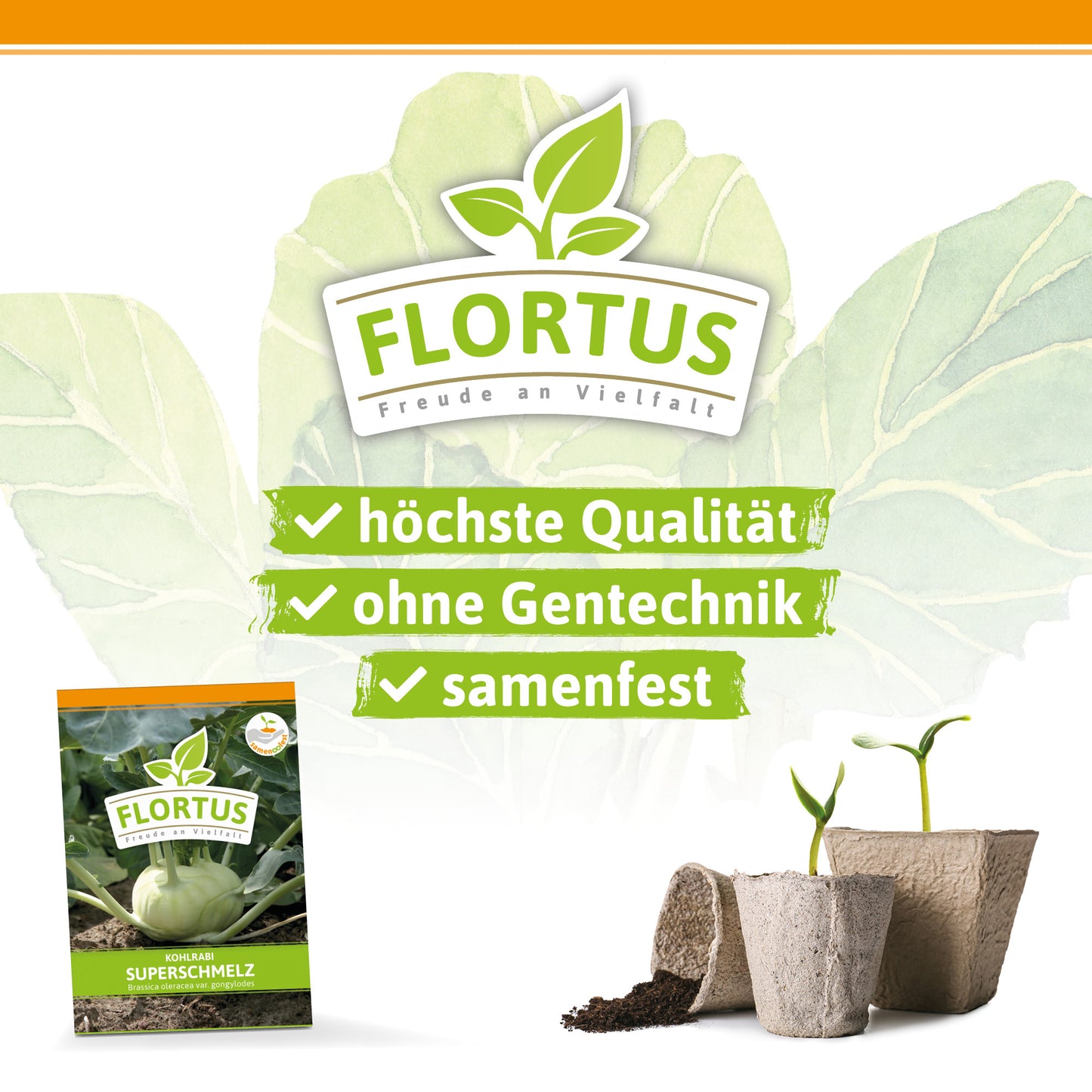  Kohlrabi Superschmelz
