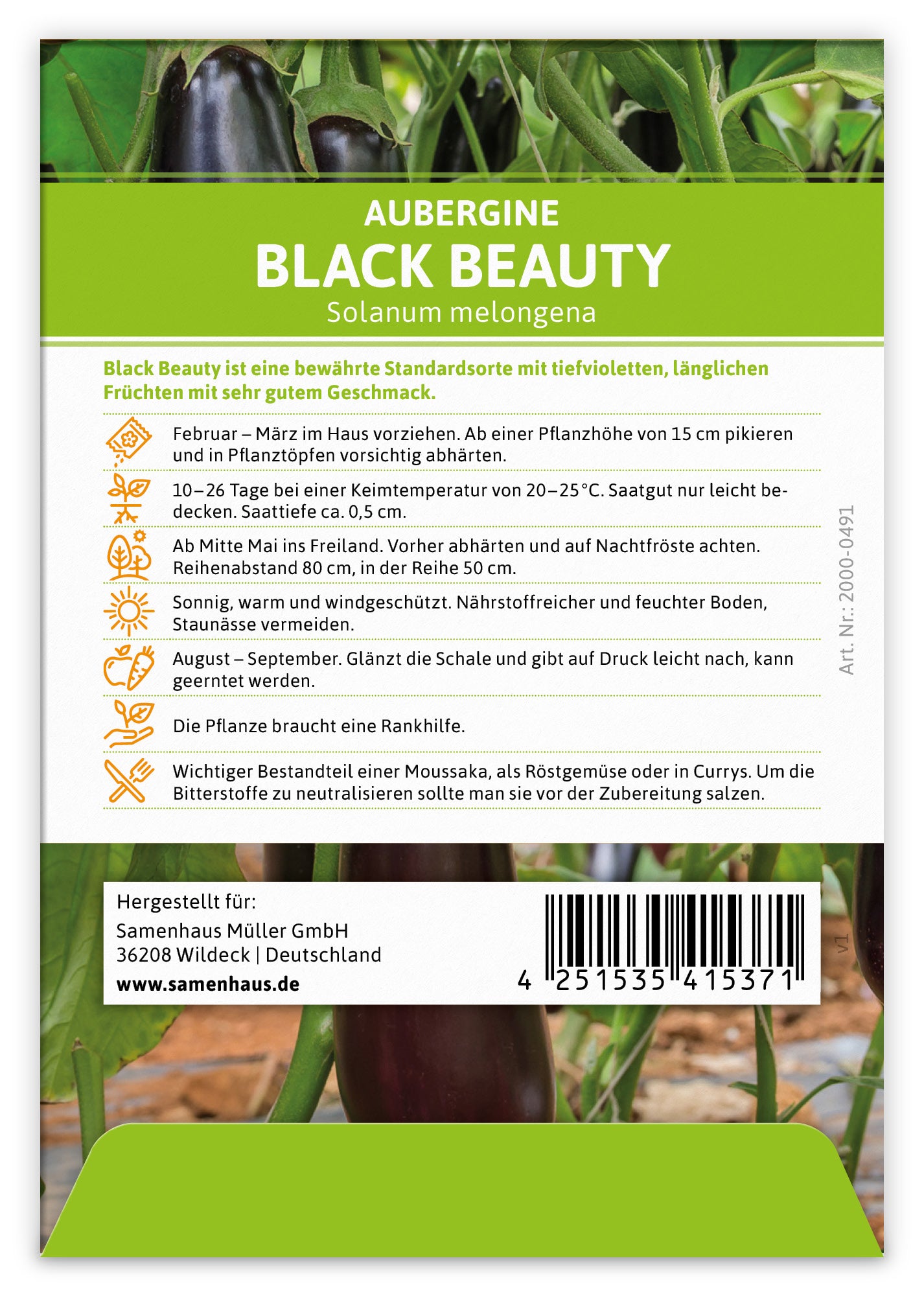  Aubergine Black Beauty