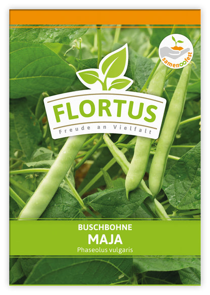 Buschbohne Maja