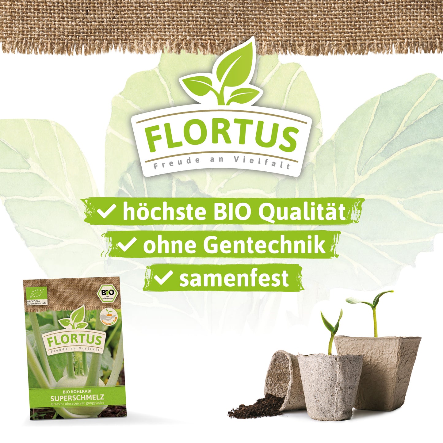  BIO Kohlrabi Superschmelz