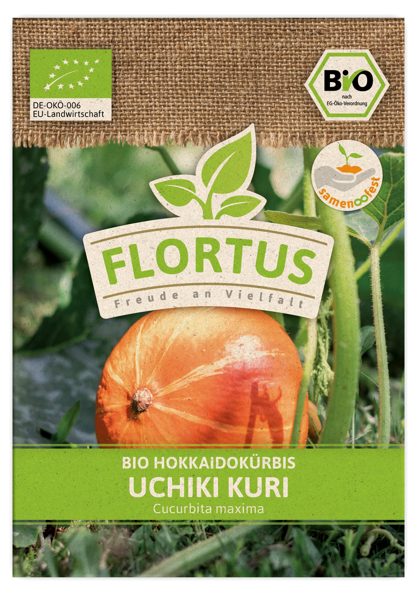  BIO Hokkaidokürbis Uchiki Kuri