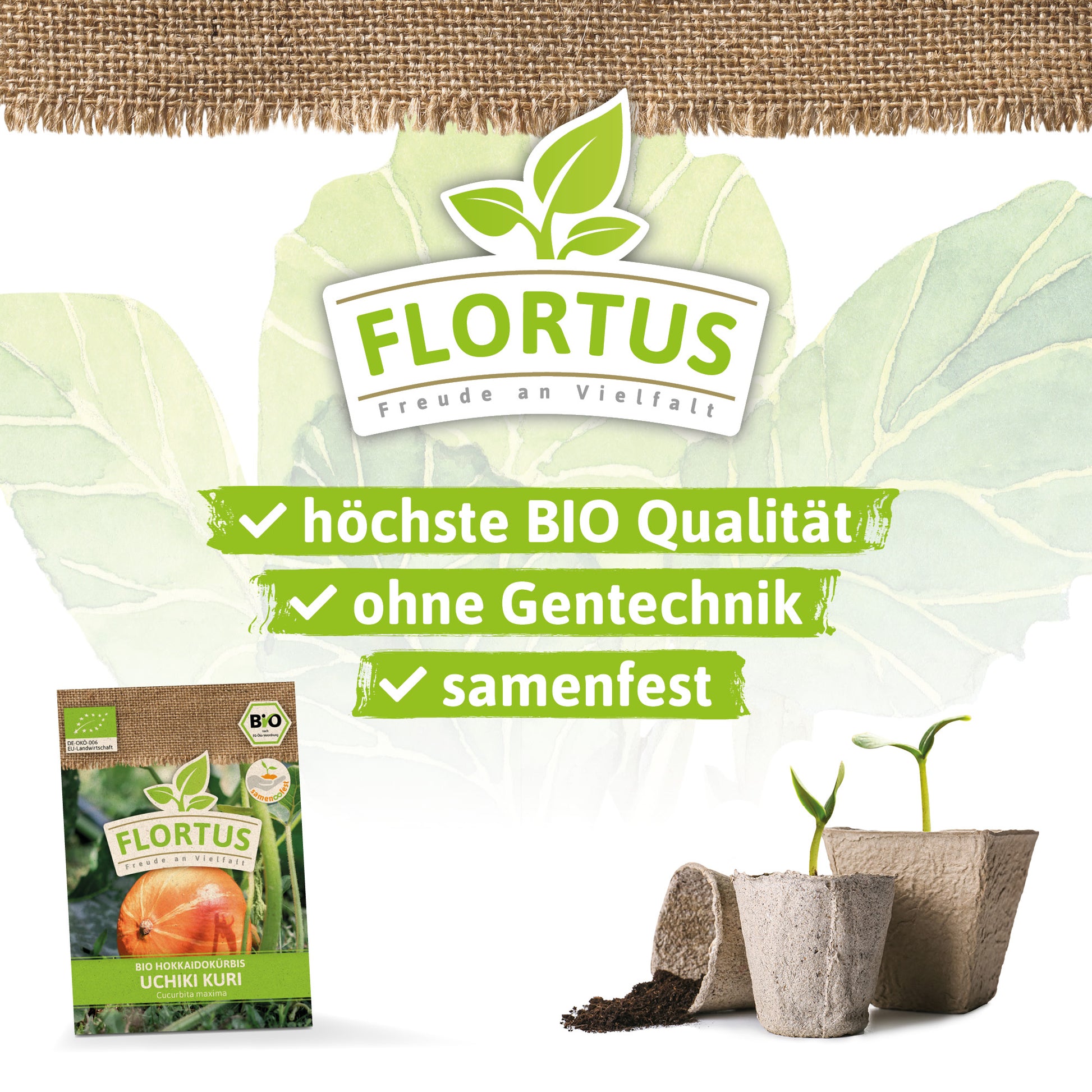  BIO Hokkaidokürbis Uchiki Kuri