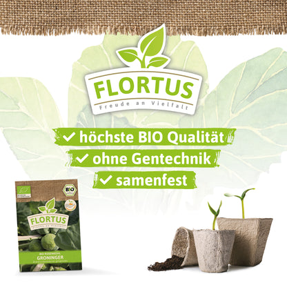  BIO Rosenkohl Groninger