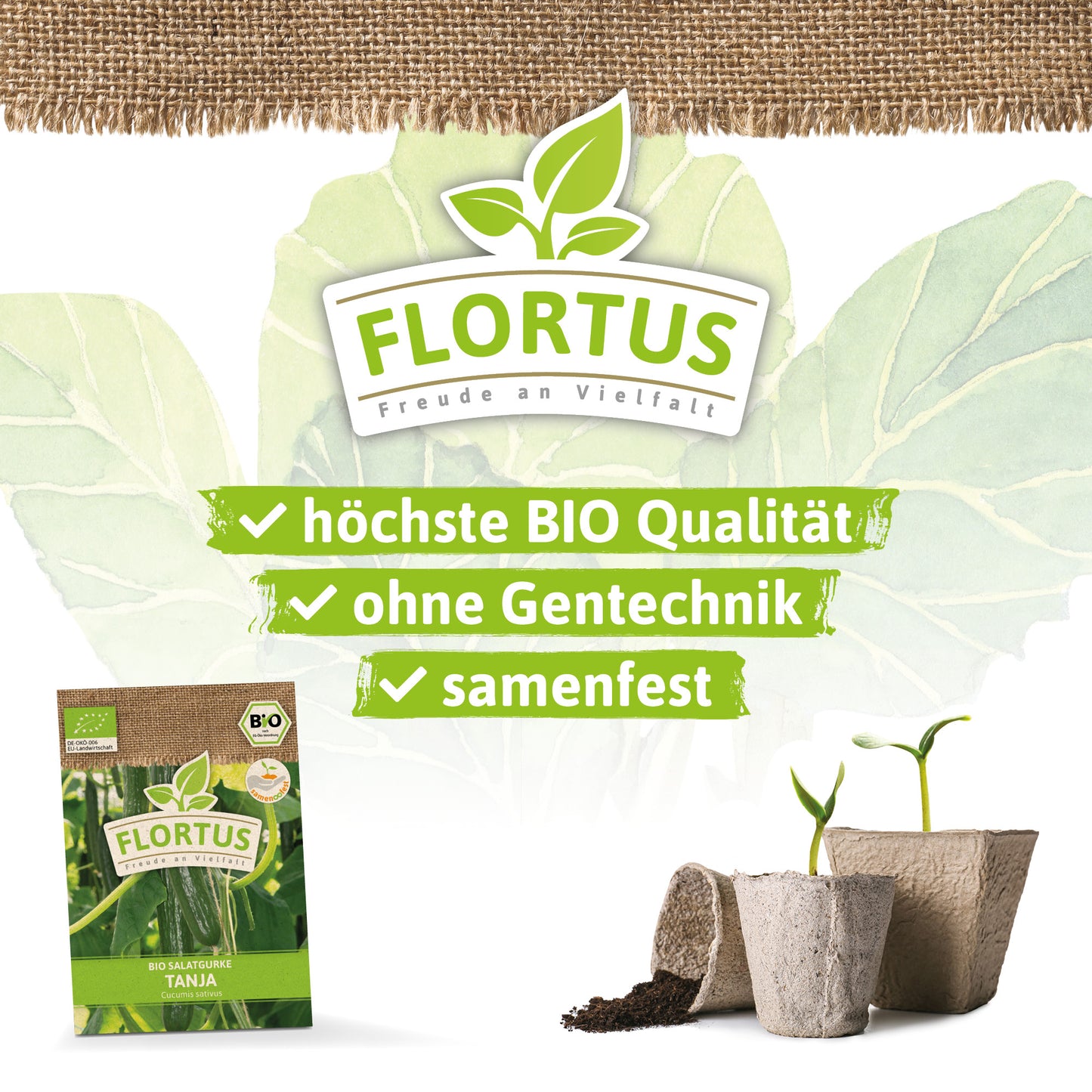  BIO Salatgurke Tanja