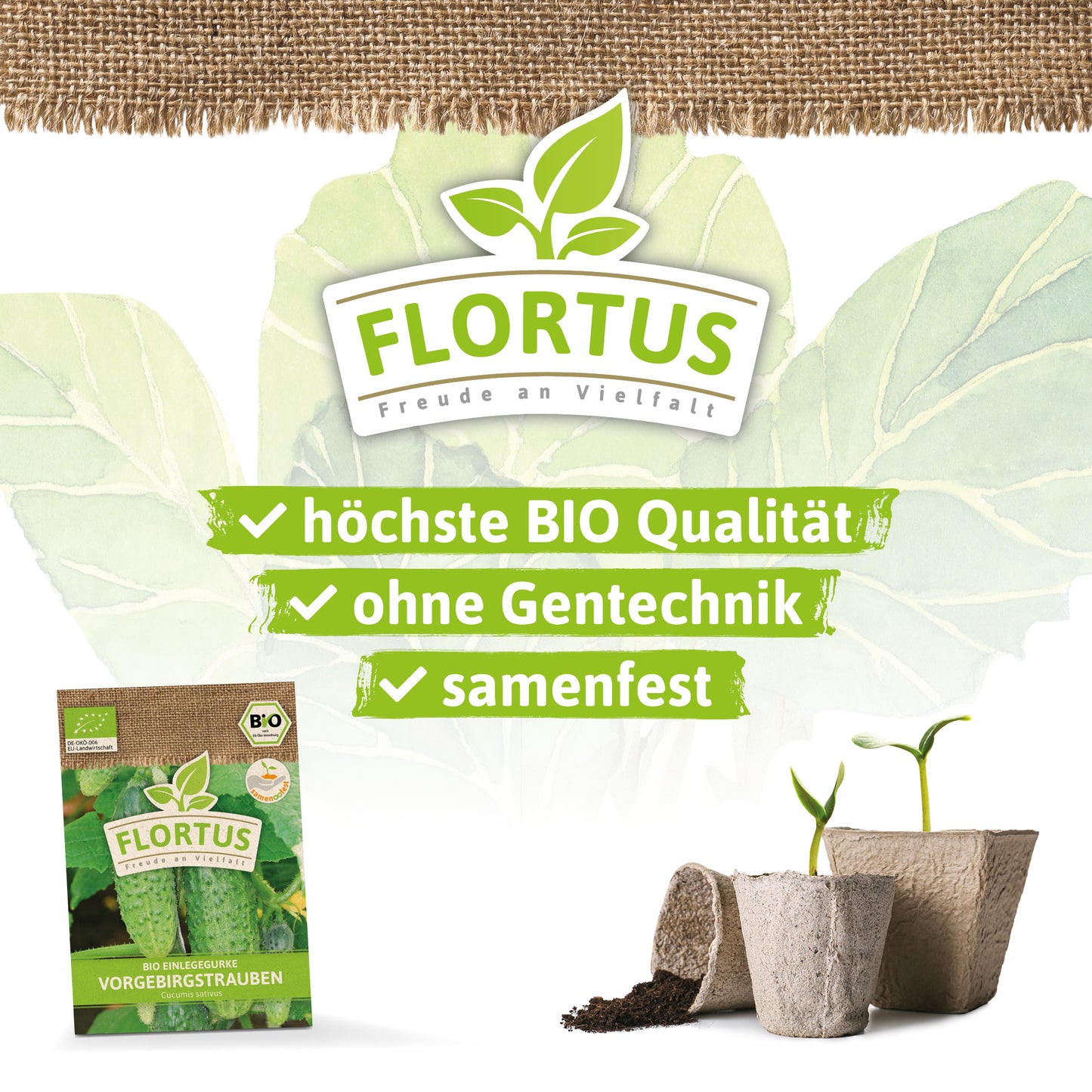  BIO Einlegegurke Vorgebirgstrauben