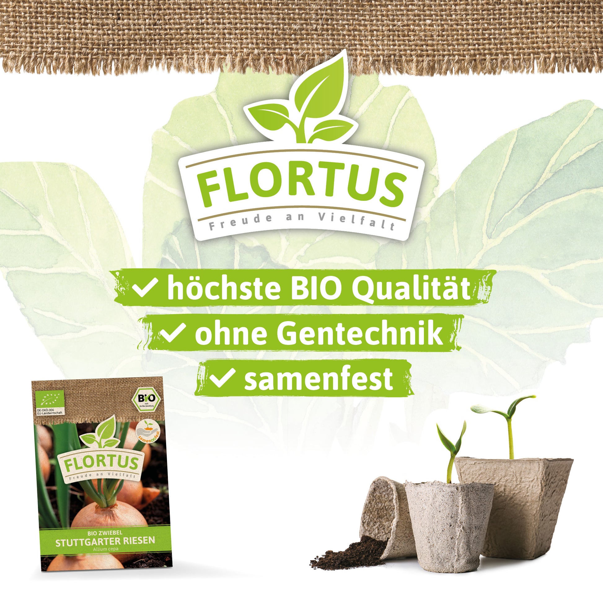  BIO Zwiebel Stuttgarter Riesen