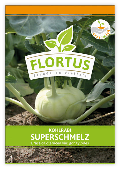  Kohlrabi Superschmelz (100 Stück)