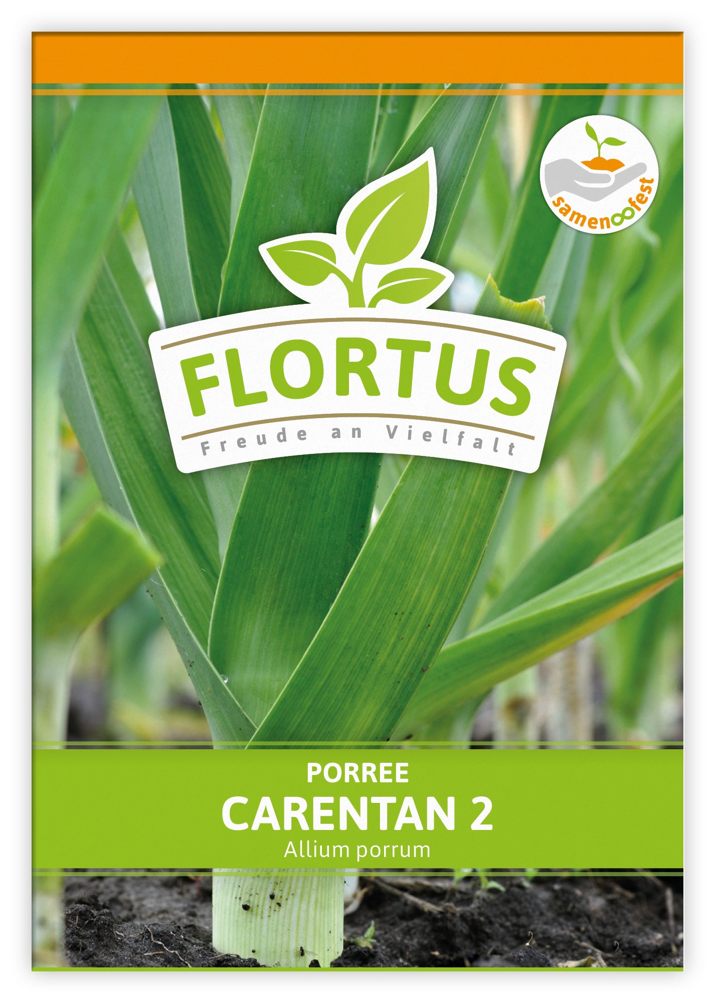  Lauch-Porree Carentan 2 (100 Stück)
