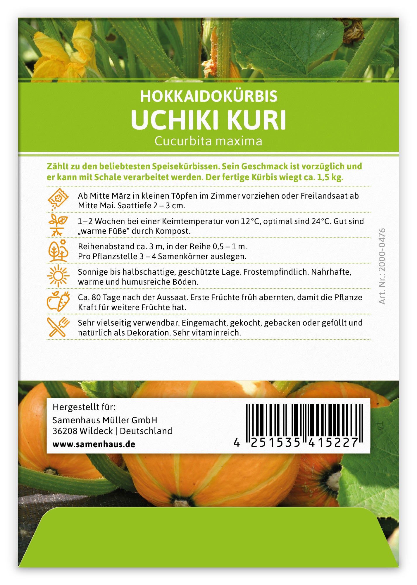  Hokkaidokürbis Uchiki Kuri (100 Stück)