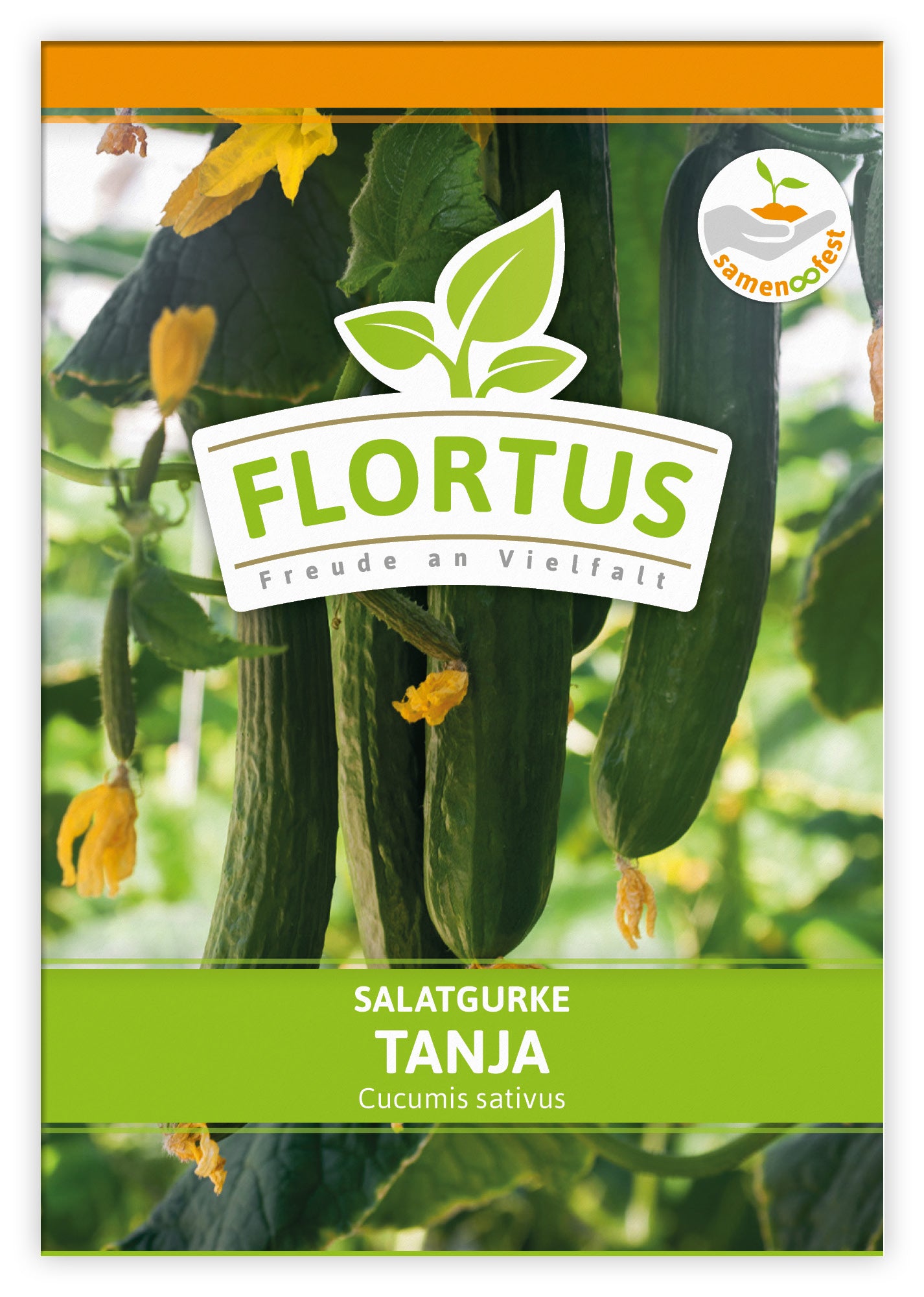  Salatgurke Tanja (100 Stück)