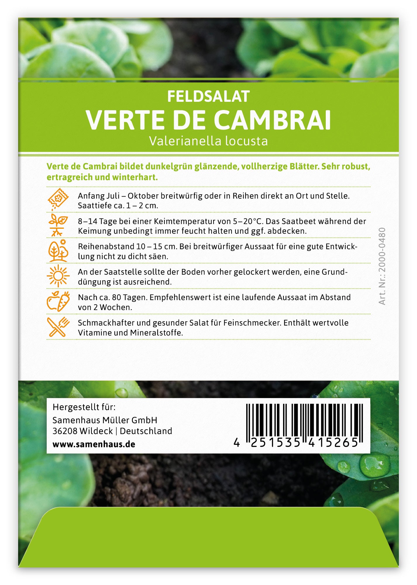  Feldsalat Verte De Cambrai (100 Stück)