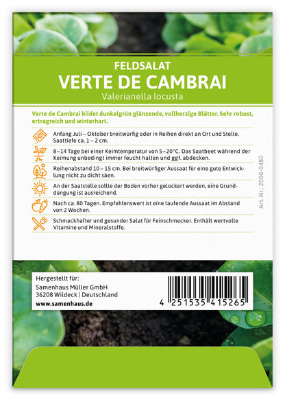  Feldsalat Verte De Cambrai (100 Stück)