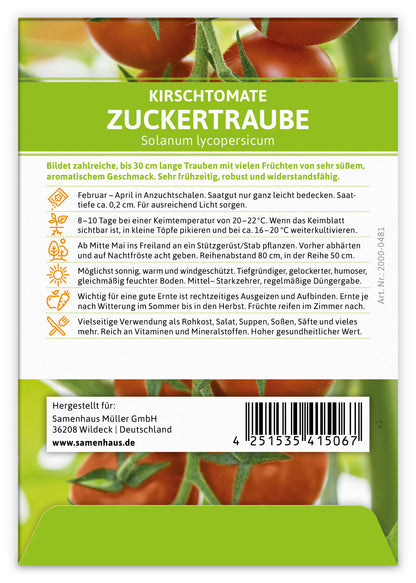 Kirschtomate Zuckertraube (100 Stück)