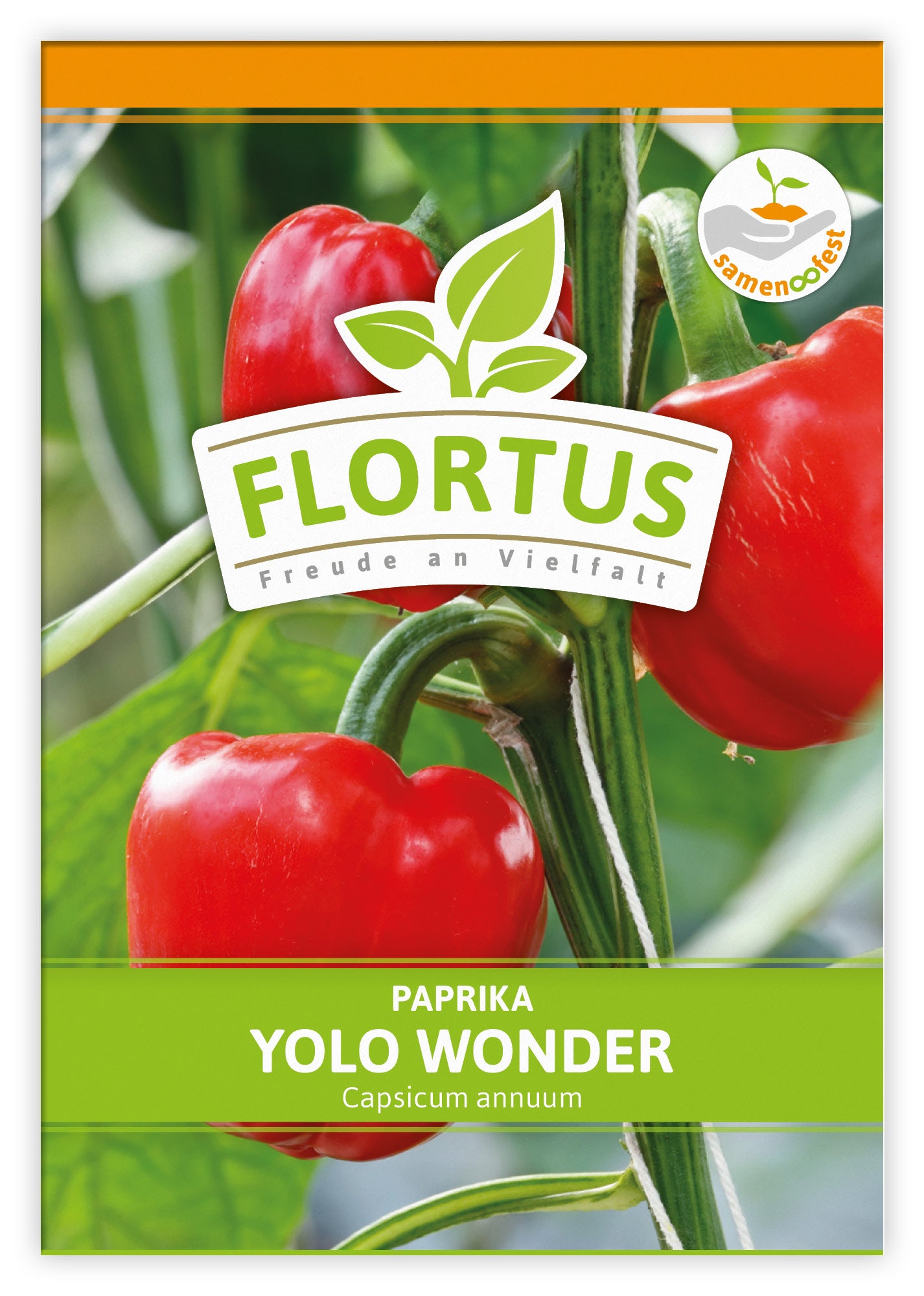  Paprika Yolo Wonder (100 Stück)